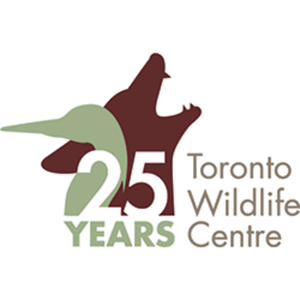 Toronto Wildlife Centre