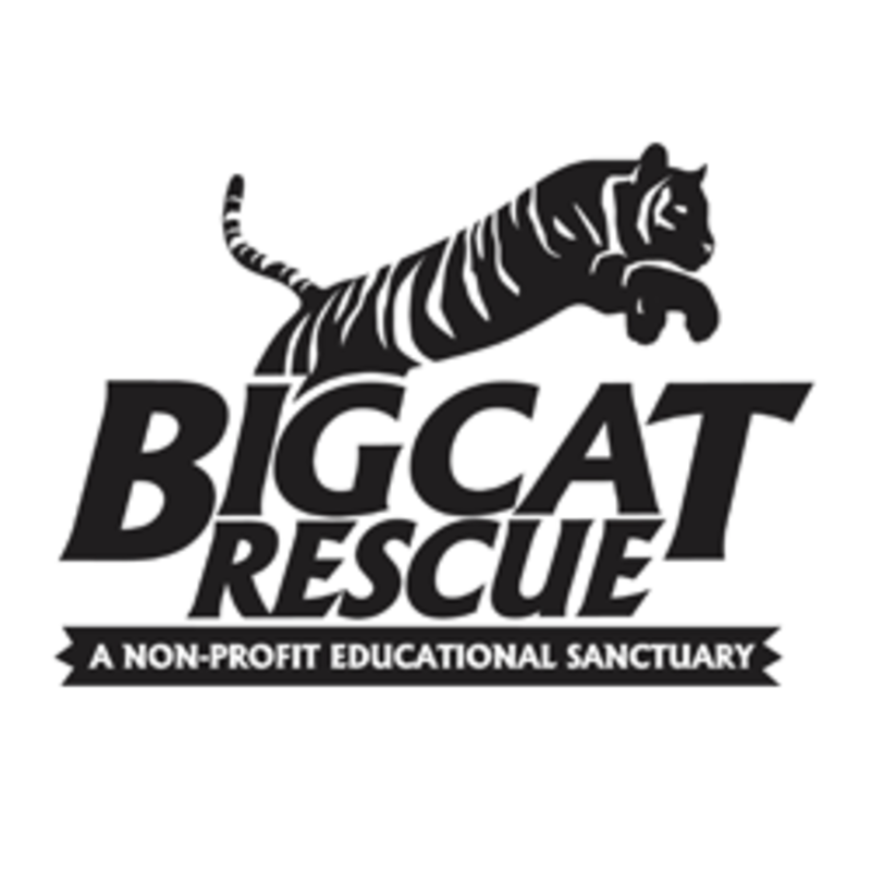 Big Cat Rescue Logo