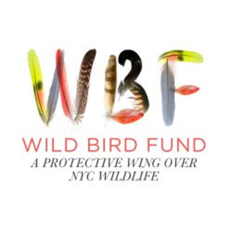 Wild Bird Fund Logo