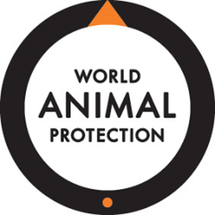 World Animal Protection US
