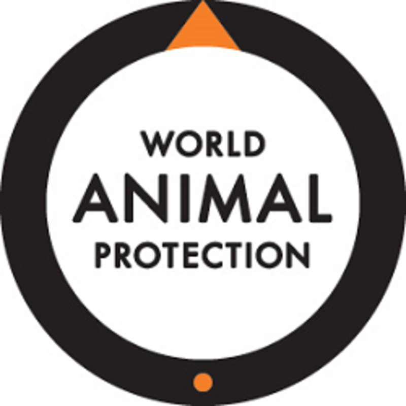 World Animal Protection US Logo