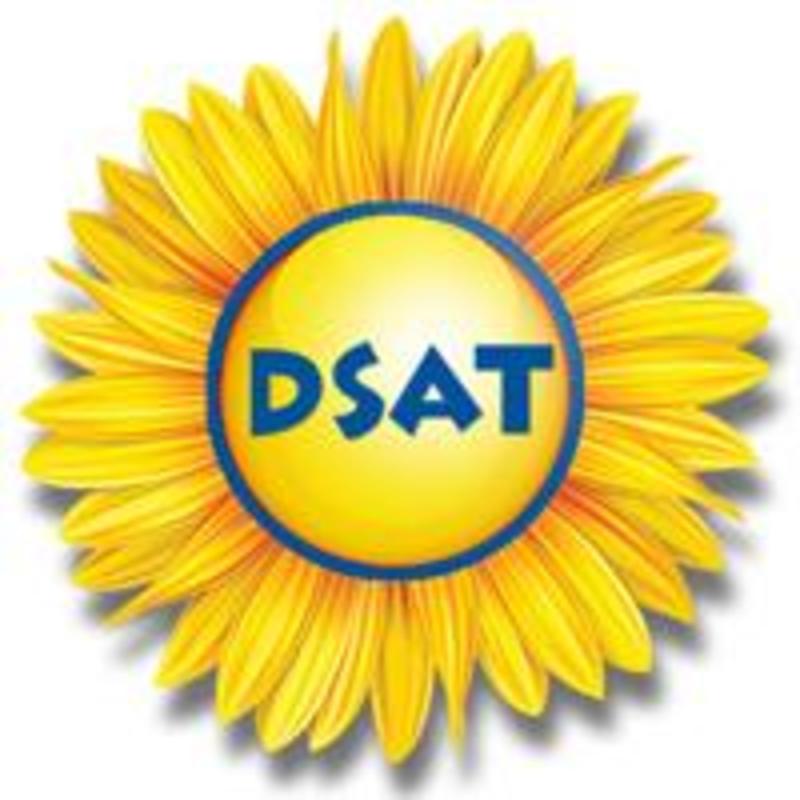 Down Syndrome Association of Toronto Logo