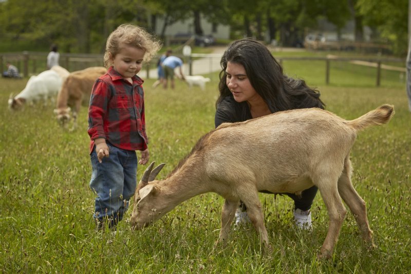Woodstock Farm Sanctuary photo