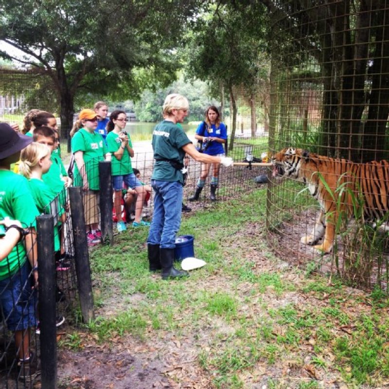 Big Cat Rescue photo