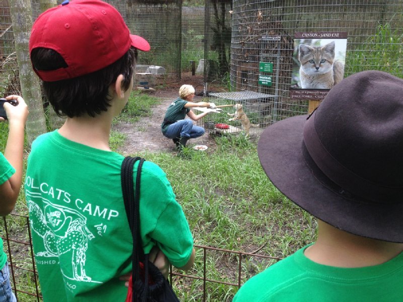 Big Cat Rescue photo