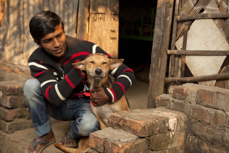 World Animal Protection US photo