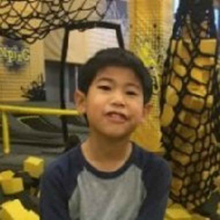 Zander