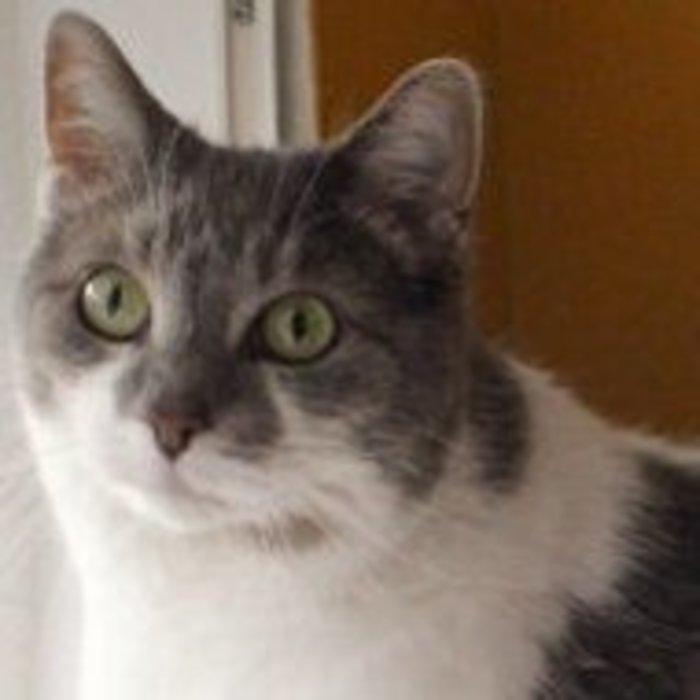 Ella