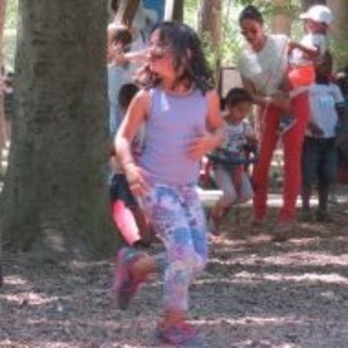 Sequoia